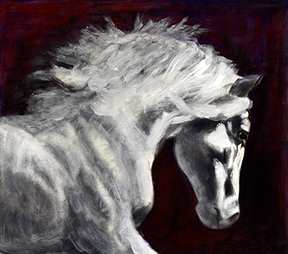 WHITE WILD HORSE